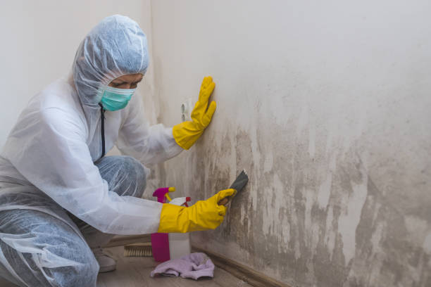 Best Biohazard Mold Removal  in Fayetteville, PA